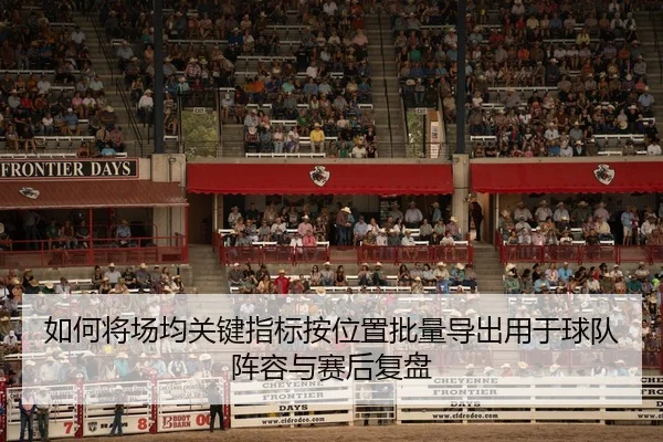 如何将场均关键指标按位置批量导出用于球队阵容与赛后复盘（leyu）
